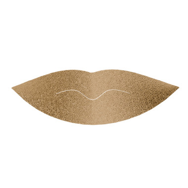 THE LIP PATCH
