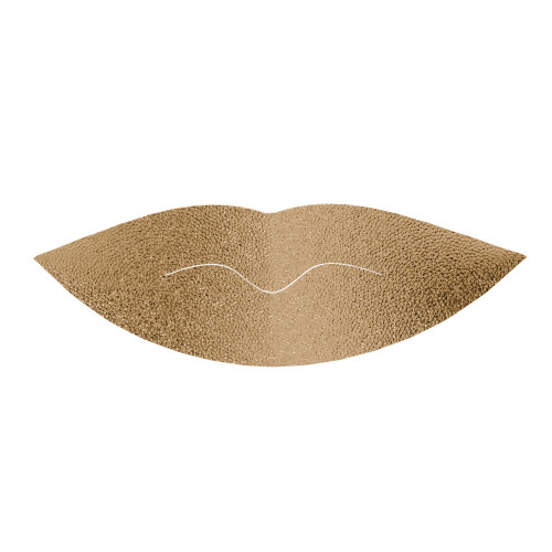 THE LIP PATCH